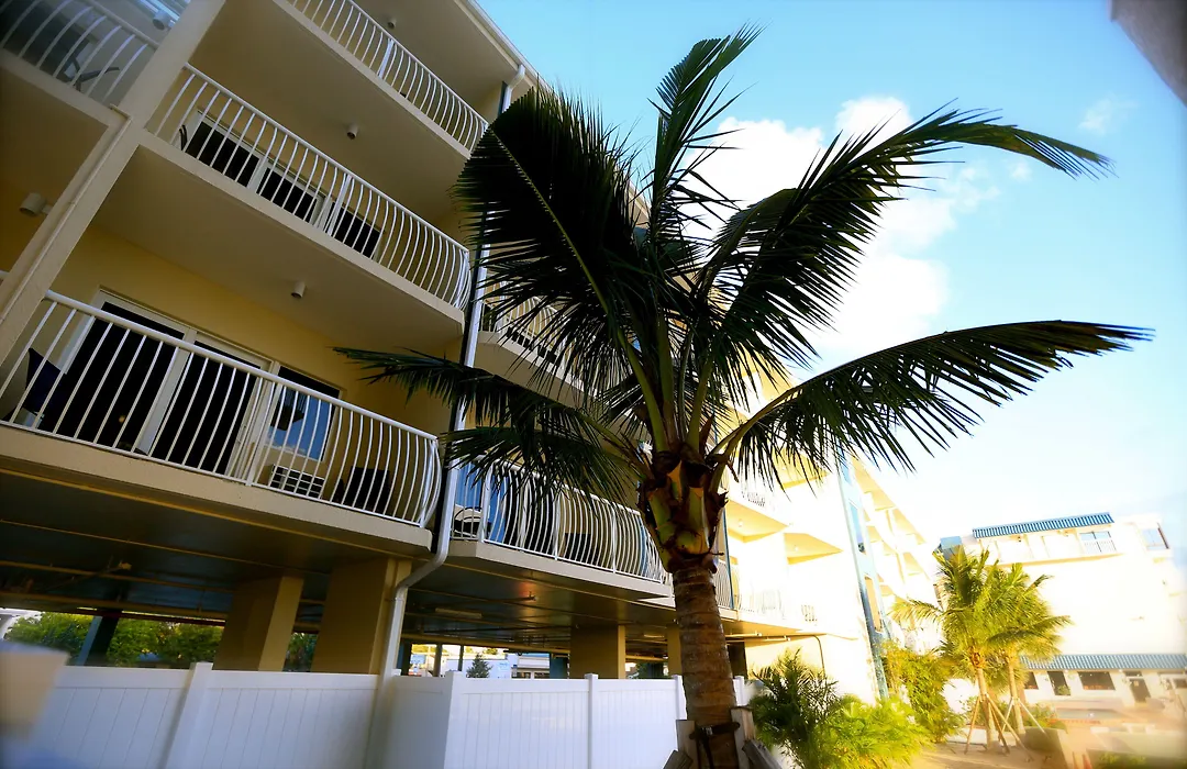 Shoreline Island Resort - Exclusively Adult-1